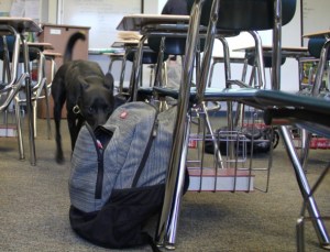 mb-skeeter-1-590x452